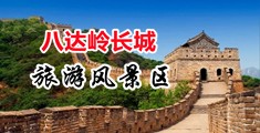 可以看美女逼逼的网站中国北京-八达岭长城旅游风景区